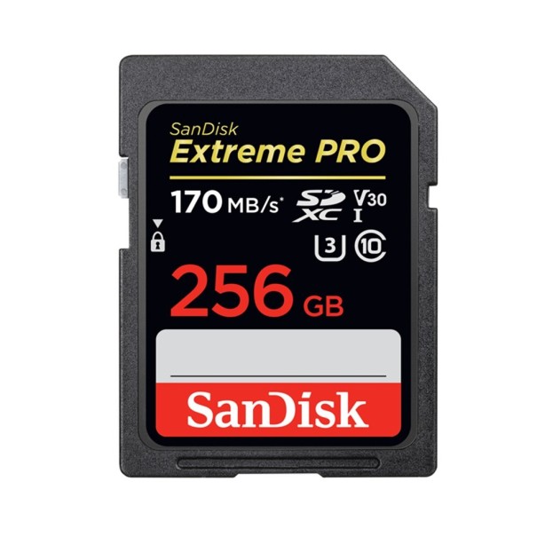 SDHC/SDXC minneskort 256GB