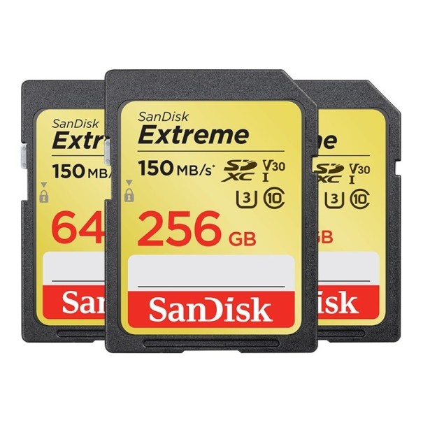 SDHC/SDXC paměťová karta K173 256GB