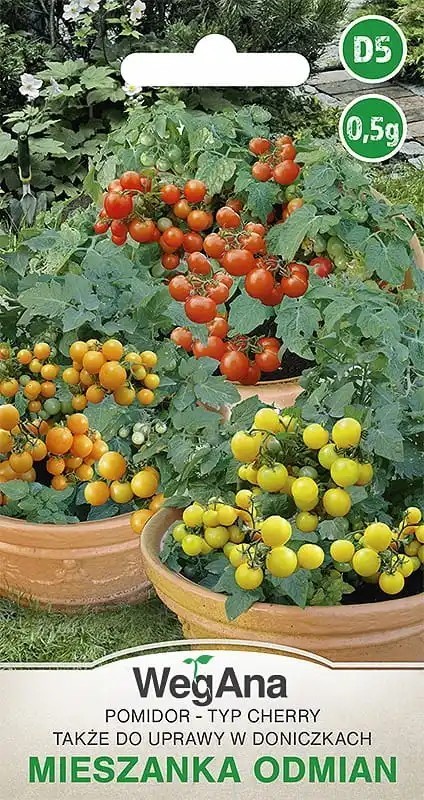 Semena cherry rajčete směs odrůd, balení cca 170 ks, drobnoplodá rajčata pro pěstování v květináčích, na balkoně i zahradě 1