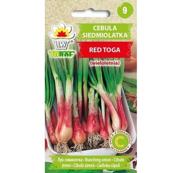 Semena cibule sedmileté Red Toga, balení cca 300 ks, vytrvalá zimovzdorná cibule s červeným základem stonku pro zahradu 1