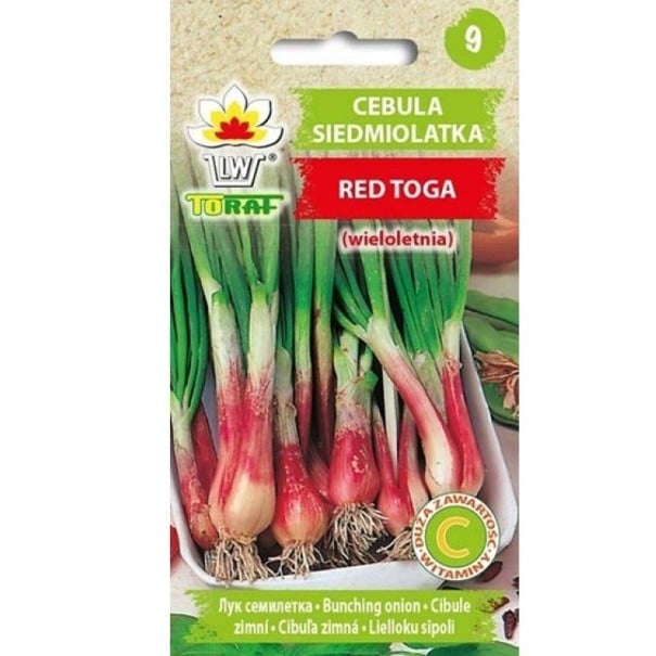 Semena cibule sedmileté Red Toga, balenie cca 300 ks, vytrvalá zimovzdorná cibula s červeným základom stonku pre záhradu