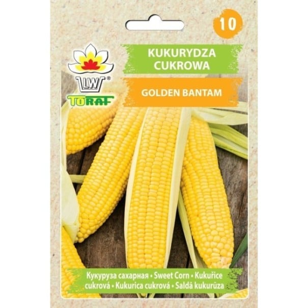 Semena cukrovej kukurice Golden Bantam, balenie cca 90 ks, žltá heirloom odroda so sladkými zrnami pre záhradné pestovanie