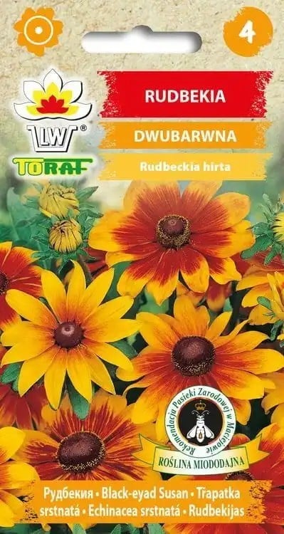 Semena dvoubarevnej echinacey srstnatej, balenie cca 2 500 ks, Rudbeckia hirta jednoročná pre záhradu, záhon a rezané kvety