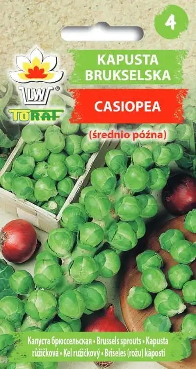 Semena kapusty růžičkové Casiopea Středně pozdní odrůda 500 ks Drobné zelené růžičky Zelenina na zahradu k vaření i mražení 1