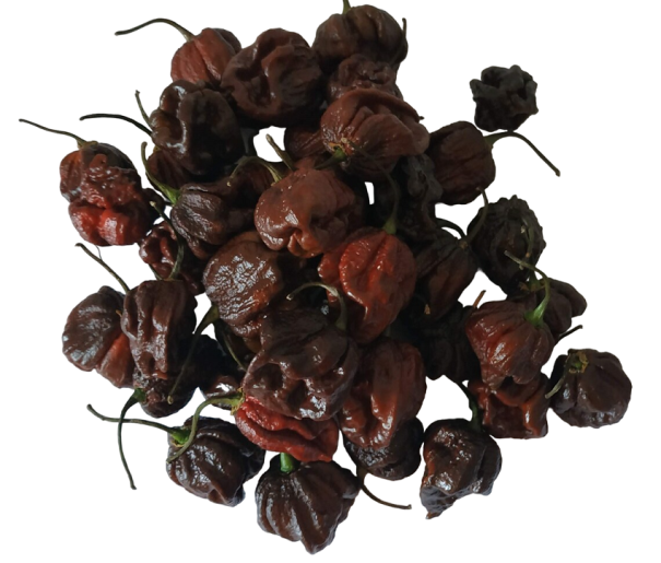 Semena pálivé papričky Carolina Reaper Chocolate 20 ks Semínka chilli papričky Bhutlah 1