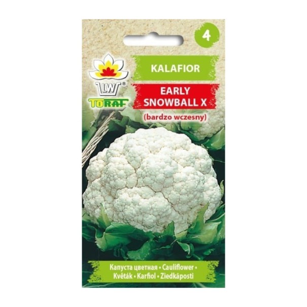 Semena raného květáku Early Snowball X, balení cca 300 ks, klasická bílá odrůda s pevnými růžicemi pro zahradní pěstování 1