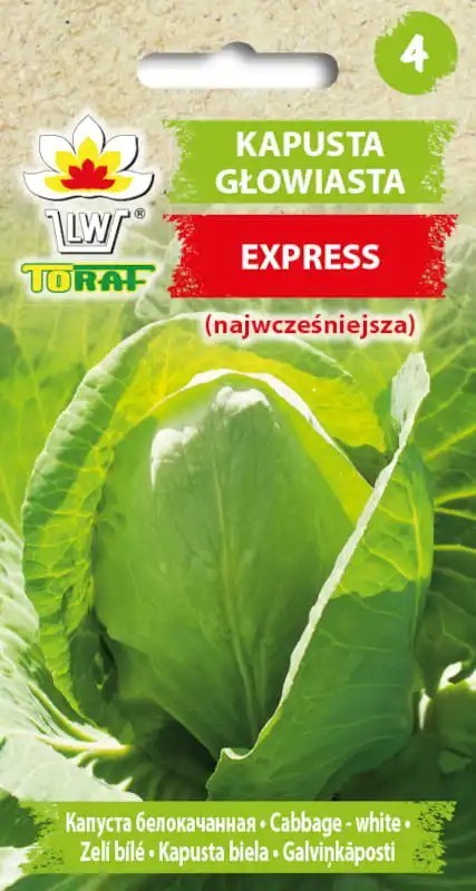Semena zelí hlávkového bílého Express Nejranější odrůda 500 ks Bílá hlávka Zelenina na zahradu k přípravě salátů i k vaření do kuchyně 1