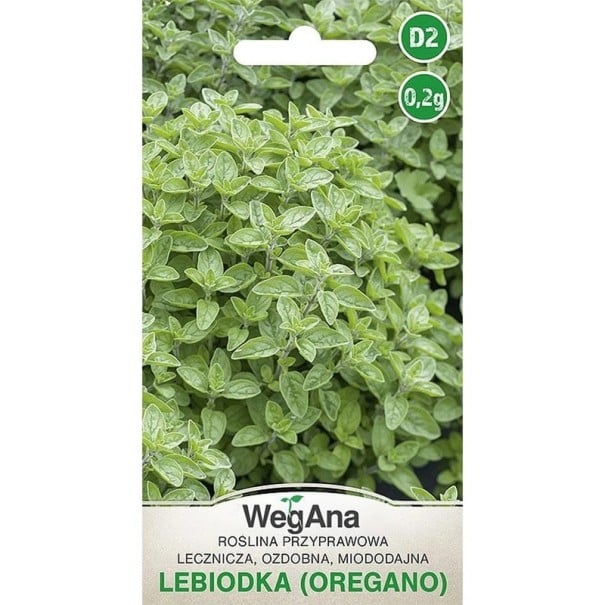 Semienka oregano dobromysl obecná 1500 ks, vytrvalá koreninová a liečivá bylinka na pestovanie na záhone, v truhlíku aj v kvetináči