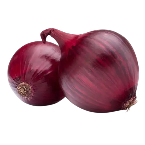 Semínka cibule kuchyňské Allium cepa Rouge Foncé de Hollande, 50 ks, holandská tmavě červená odrůda, výsadba na zahradu 1