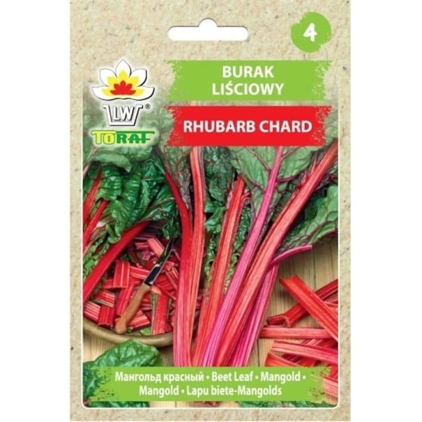 Semínka mangold Rhubarb Chard 250 ks listová zelenina s červenými řapíky pro jarní a letní výsev na zahradu 1