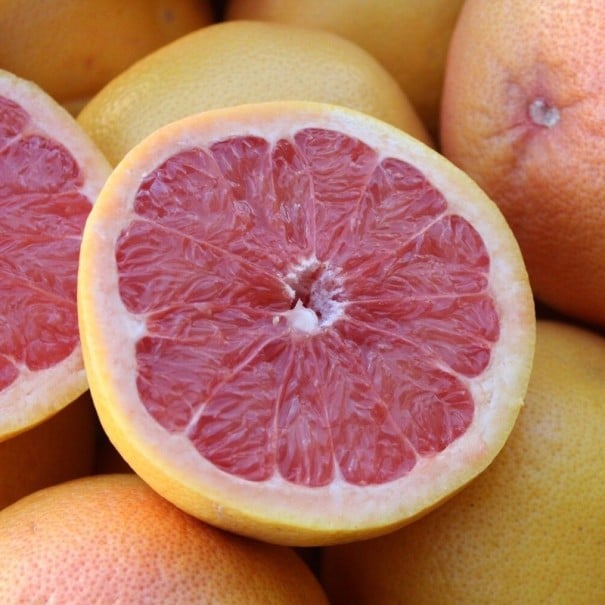 Semínka pomelo růžové Citrus maxima Pink 5 ks velký tropický citrus se žlutými plody pro pěstování doma ve skleníku zimní zahradě 1