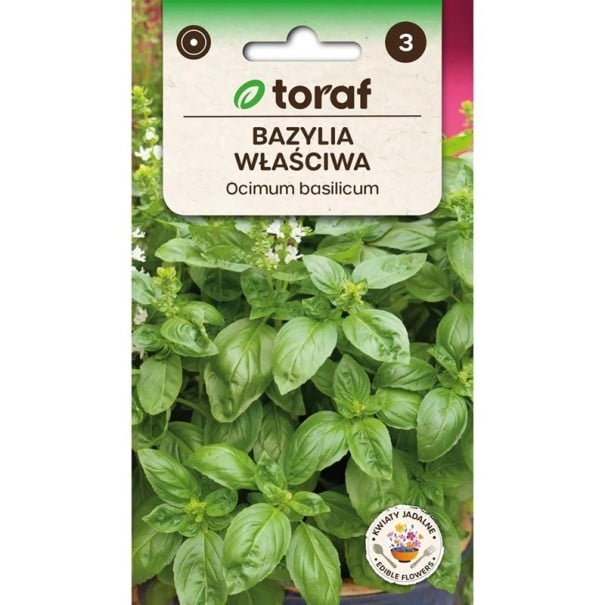 Semințe de busuioc adevărat cu flori comestibile, ambalaj de cca 700 buc, Ocimum basilicum plantă aromatică pentru grădină, jardiniere și fereastră de bucătărie