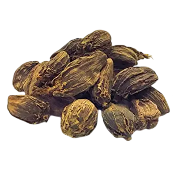 Semințe de cardamom negru Amomum subulatum Black Cardamom, 5 buc, condiment tropical cu capsule aromatice pentru seră