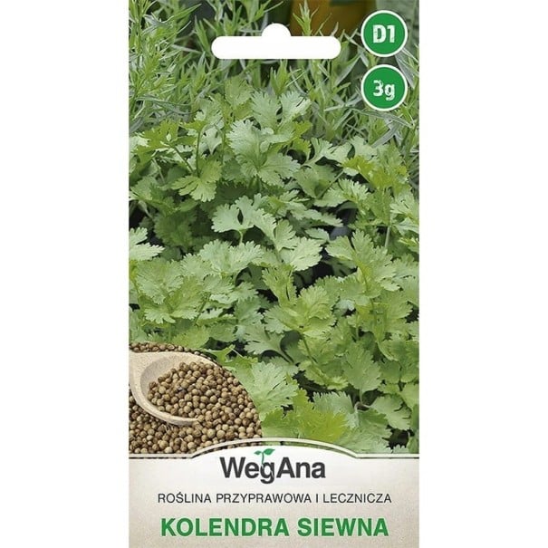 Semințe de coriandru, ambalaj de cca 300 bucăți, plantă condimentară și medicinală pentru cultivare în grădină, pe balcon și în ghiveci