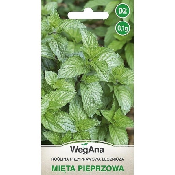 Semințe de mentă piperată, ambalaj de cca 1 200 bucăți, plantă perenă aromatică și medicinală pentru grădină, ghiveci și grădină de ierburi