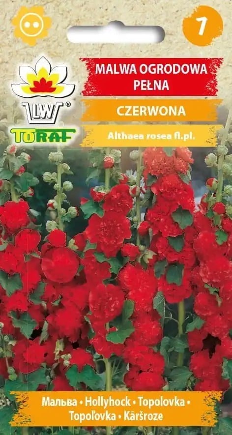 Semințe de topolovcă plină roșie, ambalaj de cca 70 bucăți, Althaea rosea, bienală înaltă pentru grădină, gard și straturi de țară