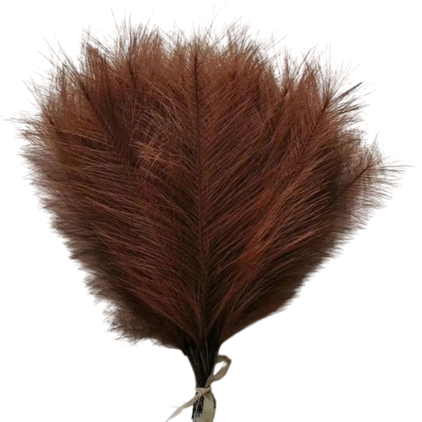 Set 10 iarba artificiala de pampas 42 cm Decor vaza din matase pentru masa nunta gradina casa si decor exterior pentru sarbatori si petreceri maro