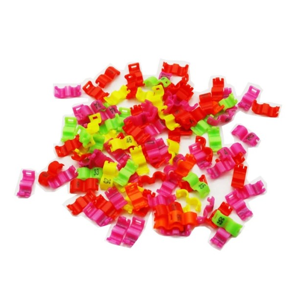 Set di 20 anelli colorati da 3 mm per le zampe degli uccelli Clip in plastica per l'anellamento di piccioni, canarini e pappagalli Marchi Multicolore