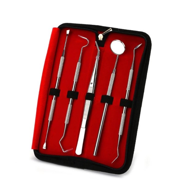 Set di 5 strumenti per rimuovere il tartaro Acciaio inossidabile Strumenti dentali Igiene dentale domestica Placca dentale 1