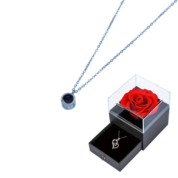 Set di collana proiettiva con rosa, collana in titanio, ciondolo in rame, proiezione Ti amo in 100 lingue, scatola regalo argento