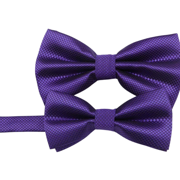 Set di papillon per genitori e bambini Papillon eleganti per uomo e bambino Set per eventi sociali Accessori coordinati per famiglie Cravatte alla moda viola