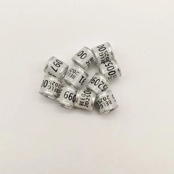 Set med 100 färgglada glänsande ringar 8 mm för fågelben Högkvalitativ plast och aluminium Identifieringsklämmor för att ringmärka duvor, papegojor och fjäderfä vit