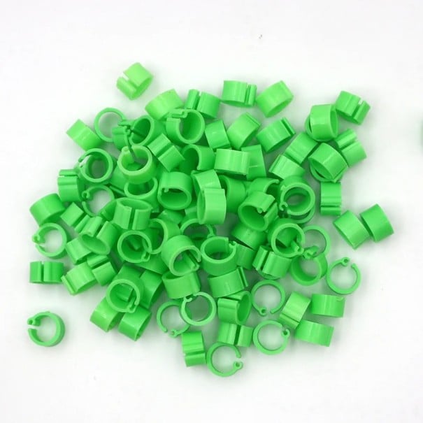 Set med 100 st färgglada 8 mm fågelbensringar Plastklämmor för att ringmärka duvor, papegojor och fjäderfä Fågelidentifieringsetiketter grön