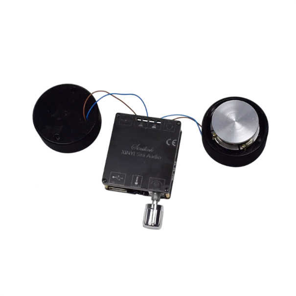 Set med vibrationshögtalare med förstärkare C50L Bluetooth 5.0 klass D 50 W (2x 25 W) 4 Ω AUX och USB svart för DIY hemmabio och stereo 1