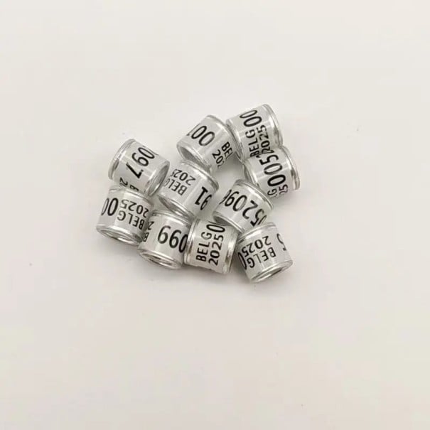 Set mit 100 bunten glänzenden Ringen 8 mm für Vogelbeine Hochwertiger Kunststoff und Aluminium Identifikationsclips zum Beringen weiß