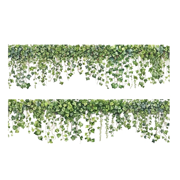 Set of Decorative Transparent Self-Adhesive Tape 5 cm x 200 cm with Green Ivy Pattern for Decorating and Creative Decoration 1