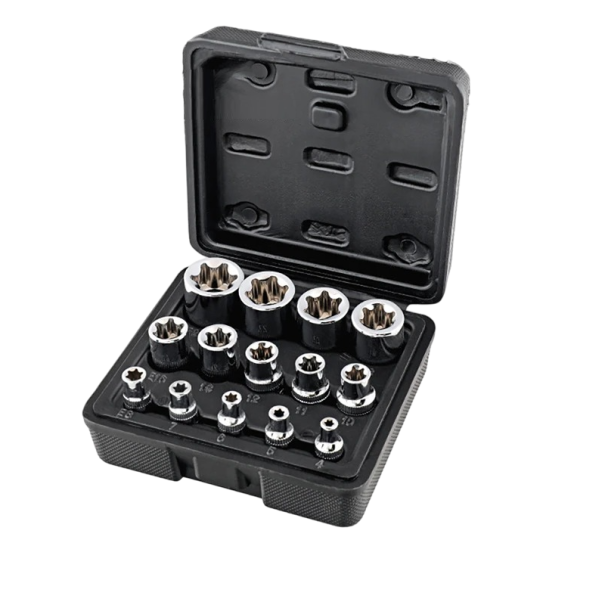 Set per l'estrazione di viti danneggiate 2,5 - 6,35 mm Teste per viti danneggiate 14 pezzi 1