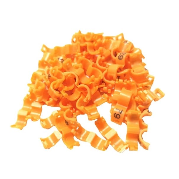 Set van 20 gekleurde vogelpootringen van 2,7 mm Kunststof clips voor het ringen van duiven, kanaries en papegaaien Identificatietags voor vogels oranje