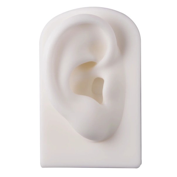 Silikonmodel af højre øre 7,8 × 4,9 × 4 cm Blødt træningsmodel til piercing og tatovering hvid