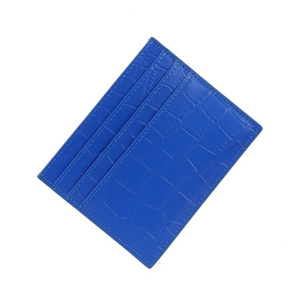 Skórzane etui podróżne T983 niebieski