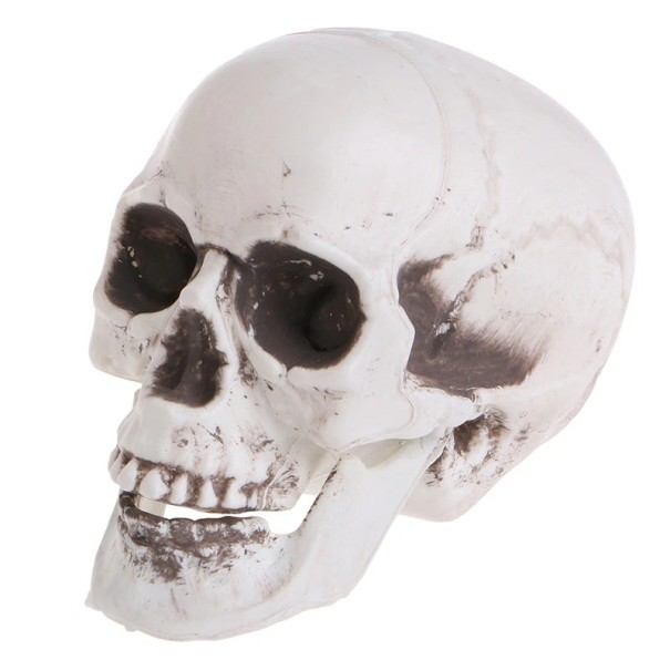 Skull Figurine 1