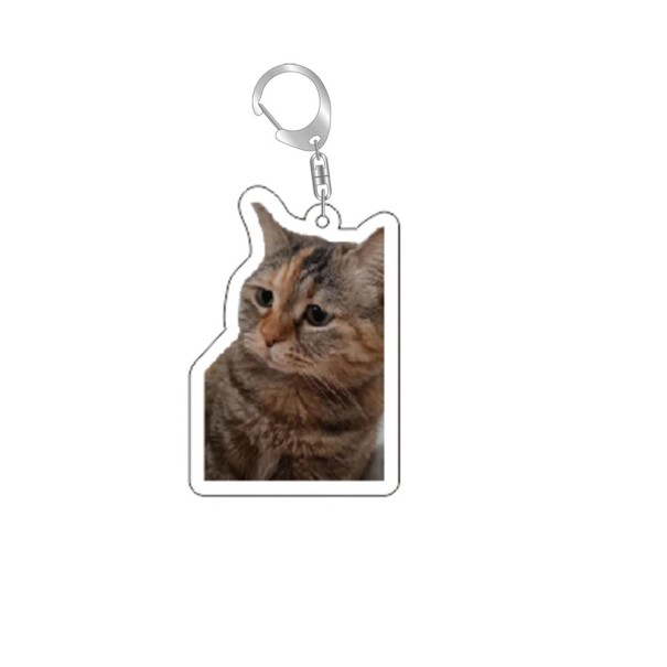 Sleutelhanger 55 mm Hars Motiv meme kat Grappige versiering voor sleutels Hangertje voor rugzak handtas Stijlvol cadeau voor kattenliefhebbers 1