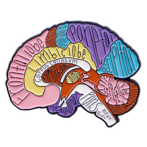 Spilla smaltata con motivo anatomico del cervello umano 3 × 4 cm distintivo colorato per zaino abbigliamento accessorio gioiello regalo 1