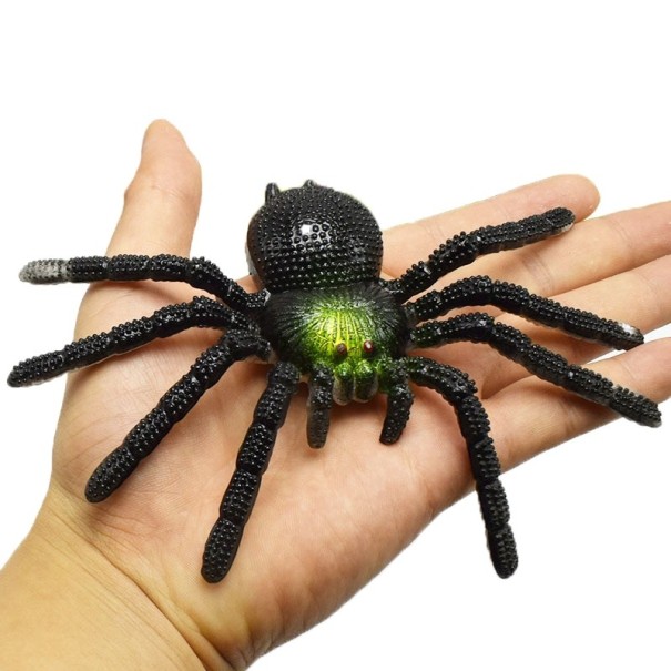 Spinnenbeeldje