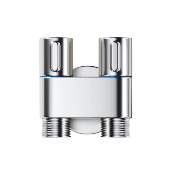 Spruzzatore bidet manuale per wc Mini set bidet portatile con doppio scarico Valvola angolare G1/2 Leva di pressione Spruzzatore delicato e doccia argento