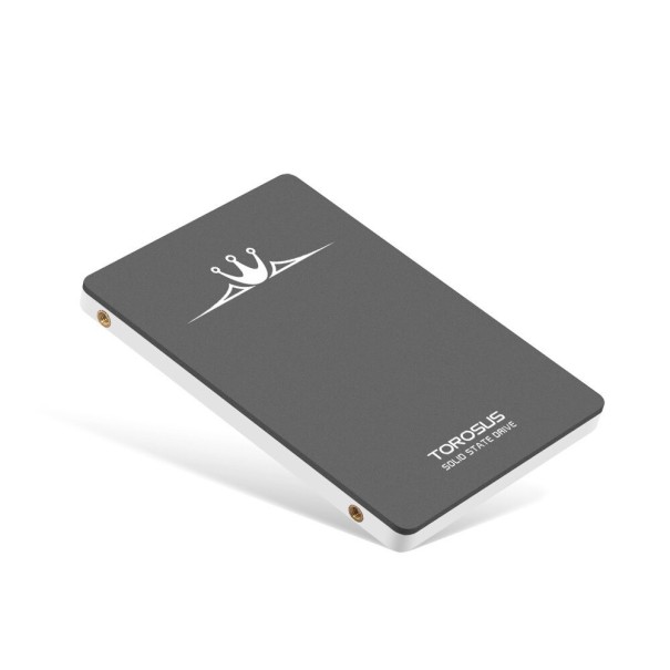 SSD harde schijf K2339 1TB