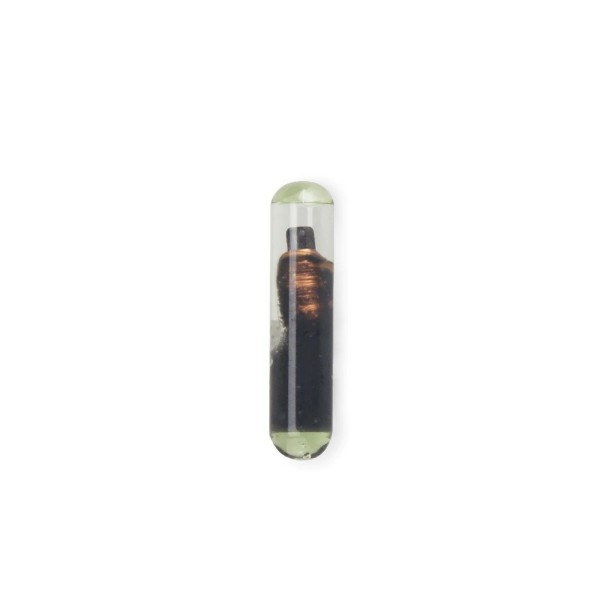 Startspærretransponder 1
