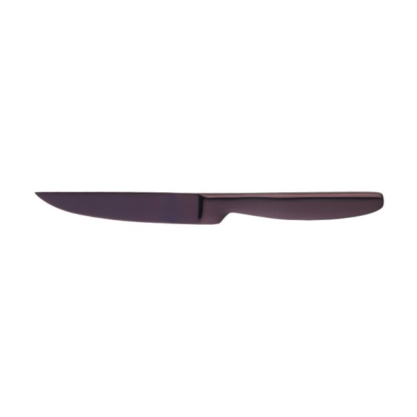 Steakmesser 4-tlg dunkelviolett 1