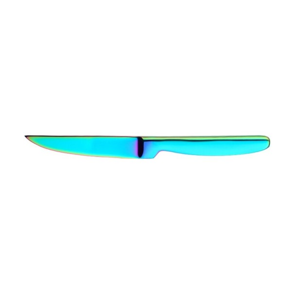 Steakmesser 4-tlg regenbogen 1
