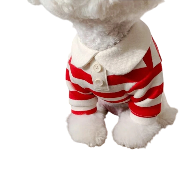 Stijlvol hondenshirt voor kleine en middelgrote honden van 4 - 5,5 kg Katoen Lichtgewicht en ademend poloshirt Elegante kleding voor honden Comfortabele snit rood
