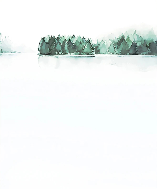 Stort dekorativt plakat landskab med skov naturlig scene 40 × 60 cm tryk på lærred grønne grå nuancer uden ramme 1