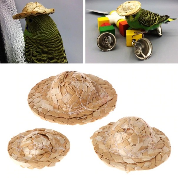Stråhatt för fåglar