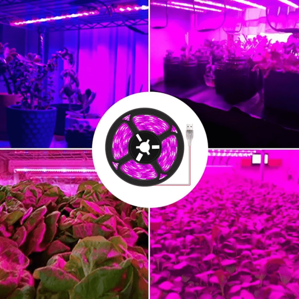Striscia LED da 1 m per la coltivazione delle piante Luce a spettro completo DC 5V alimentazione USB Supporto alla crescita delle piantine Erbe Giardini d'inverno Interno 1