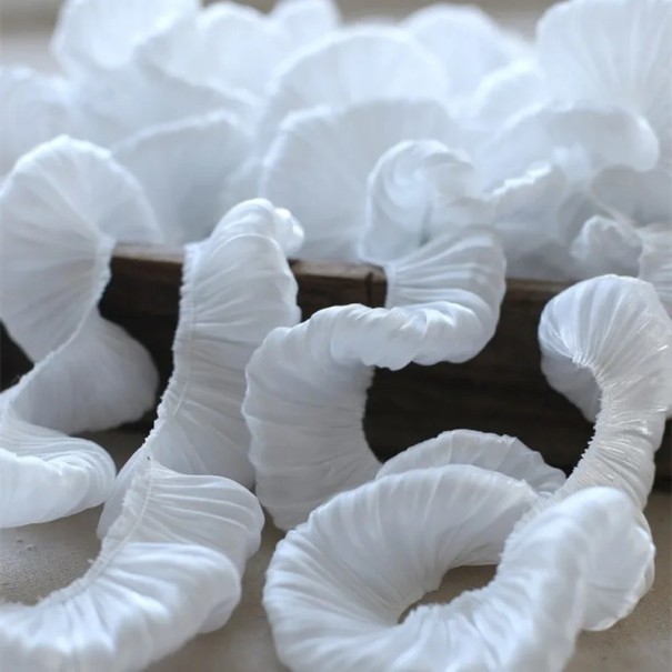 Stuha z dvouvrstvého skládaného volánku 5 cm délka 91 cm Viskóza nylon dekorativní volánková páska Ozdobný lem na šití a tvoření bílá