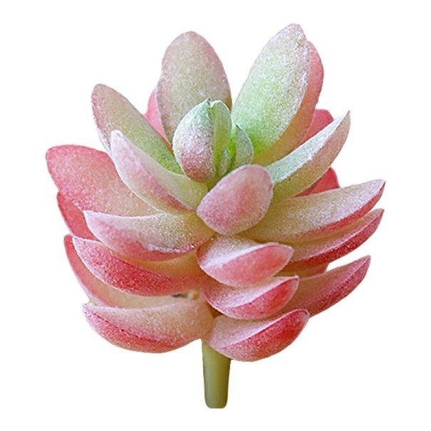 Succulent artificiel C642 5