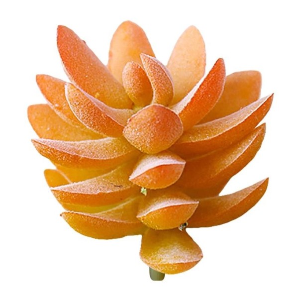 Succulent artificiel C642 6